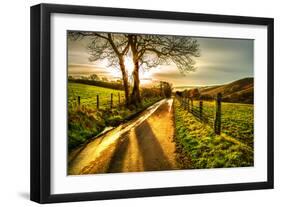 Golden Memories-Mark Gemmell-Framed Premium Photographic Print