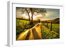 Golden Memories-Mark Gemmell-Framed Premium Photographic Print