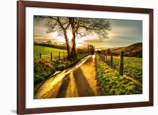 Golden Memories-Mark Gemmell-Framed Photographic Print