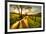 Golden Memories-Mark Gemmell-Framed Photographic Print