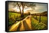 Golden Memories-Mark Gemmell-Framed Stretched Canvas