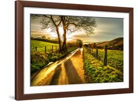 Golden Memories-Mark Gemmell-Framed Photographic Print