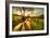 Golden Memories-Mark Gemmell-Framed Photographic Print