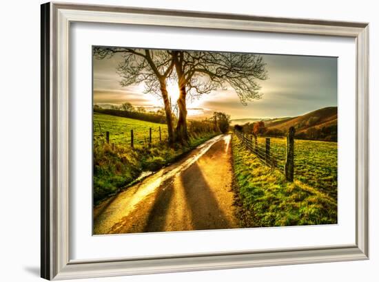 Golden Memories-Mark Gemmell-Framed Photographic Print