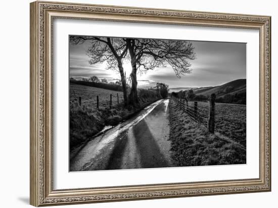 Golden Memories-Mark Gemmell-Framed Photographic Print