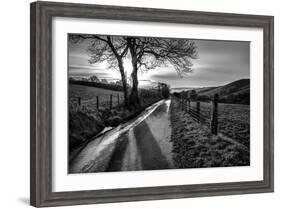 Golden Memories-Mark Gemmell-Framed Photographic Print