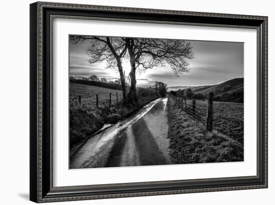 Golden Memories-Mark Gemmell-Framed Photographic Print