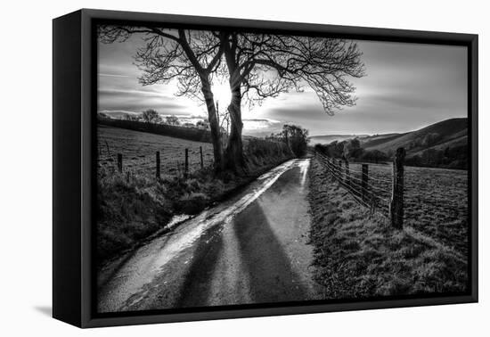 Golden Memories-Mark Gemmell-Framed Stretched Canvas