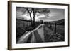 Golden Memories-Mark Gemmell-Framed Photographic Print