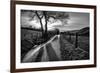 Golden Memories-Mark Gemmell-Framed Photographic Print