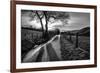 Golden Memories-Mark Gemmell-Framed Photographic Print