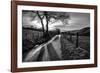 Golden Memories-Mark Gemmell-Framed Photographic Print