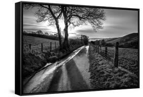 Golden Memories-Mark Gemmell-Framed Stretched Canvas