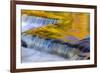 Golden Middle Branch of the Ontonagon River, Bond Falls Scenic Site, Michigan USA-Chuck Haney-Framed Premium Photographic Print