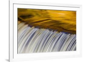 Golden Middle Branch of the Ontonagon River, Bond Falls Scenic Site, Michigan USA-Chuck Haney-Framed Photographic Print