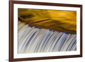 Golden Middle Branch of the Ontonagon River, Bond Falls Scenic Site, Michigan USA-Chuck Haney-Framed Photographic Print