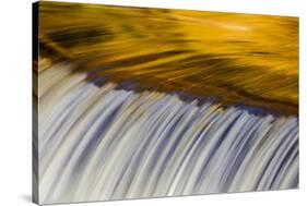 Golden Middle Branch of the Ontonagon River, Bond Falls Scenic Site, Michigan USA-Chuck Haney-Stretched Canvas