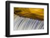 Golden Middle Branch of the Ontonagon River, Bond Falls Scenic Site, Michigan USA-Chuck Haney-Framed Photographic Print