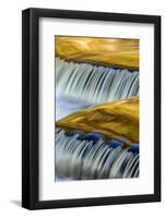 Golden Middle Branch of the Ontonagon River, Bond Falls Scenic Site, Michigan USA-Chuck Haney-Framed Photographic Print