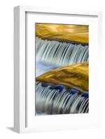 Golden Middle Branch of the Ontonagon River, Bond Falls Scenic Site, Michigan USA-Chuck Haney-Framed Photographic Print