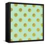 Golden Mint Dots-Tina Lavoie-Framed Stretched Canvas