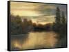 Golden Moments-Mary Jean Weber-Framed Stretched Canvas