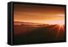 Golden Moody Sunrise, Petaluma Hills, California Coast, Sonoma-Vincent James-Framed Stretched Canvas