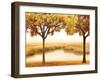 Golden Morning II-John Seba-Framed Art Print