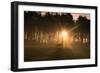 Golden Morning Light Through Trees in the Peak District, Derbyshire England Uk-Tracey Whitefoot-Framed Photographic Print