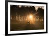Golden Morning Light Through Trees in the Peak District, Derbyshire England Uk-Tracey Whitefoot-Framed Photographic Print