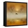 Golden Morning-Adrian Campfield-Framed Stretched Canvas