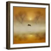 Golden Morning-Adrian Campfield-Framed Photographic Print