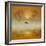 Golden Morning-Adrian Campfield-Framed Photographic Print