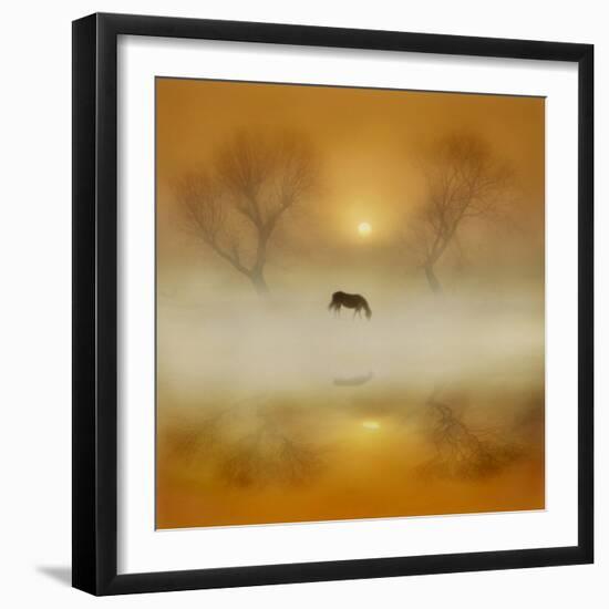 Golden Morning-Adrian Campfield-Framed Photographic Print