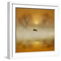 Golden Morning-Adrian Campfield-Framed Photographic Print