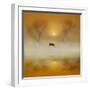 Golden Morning-Adrian Campfield-Framed Photographic Print