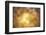 Golden Morning-Philippe Sainte-Laudy-Framed Premium Photographic Print