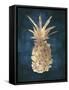 Golden Night Pineapple-Eva Watts-Framed Stretched Canvas