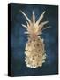 Golden Night Pineapple-Eva Watts-Stretched Canvas