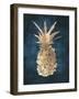 Golden Night Pineapple-Eva Watts-Framed Art Print