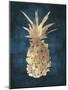 Golden Night Pineapple-Eva Watts-Mounted Art Print