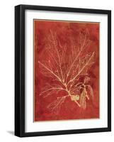 Golden Oak I-Sarah Chilton-Framed Art Print