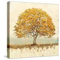 Golden Oak-James Wiens-Stretched Canvas