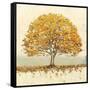 Golden Oak-James Wiens-Framed Stretched Canvas