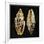 Golden Ocean Gems I-Caroline Kelly-Framed Art Print