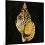 Golden Ocean Gems III-Caroline Kelly-Mounted Art Print