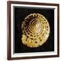 Golden Ocean Gems IV-Caroline Kelly-Framed Art Print