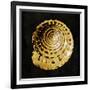 Golden Ocean Gems IV-Caroline Kelly-Framed Art Print