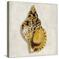 Golden Ocean Gems on Ivory III-Caroline Kelly-Stretched Canvas