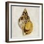 Golden Ocean Gems on Ivory III-Caroline Kelly-Framed Art Print